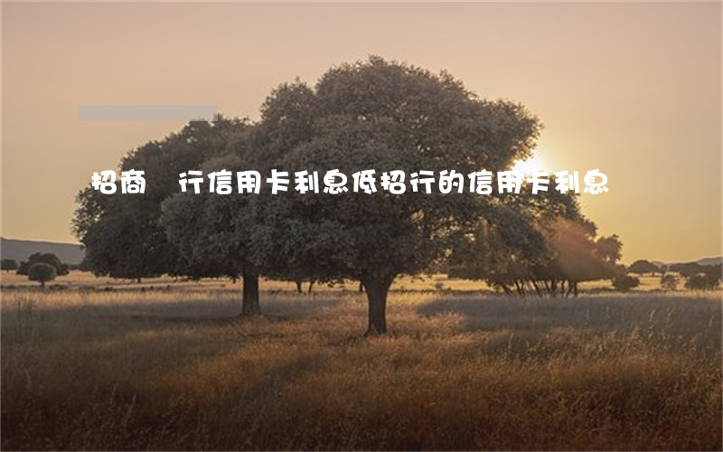 招商銀行信用卡利息低(招行的信用卡利息)