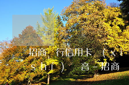 招商銀行信用卡協(xié)商分期真實(shí)錄音-招商銀行 協(xié)商分期