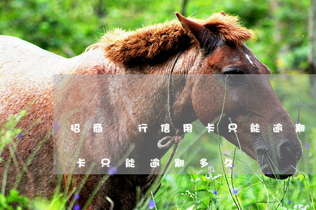 招商銀行信用卡只能逾期多久(招商銀行信用卡只能逾期多久還)
