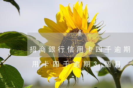 招商銀行信用卡四千逾期3個月 招商銀行信用卡四千逾期3個月