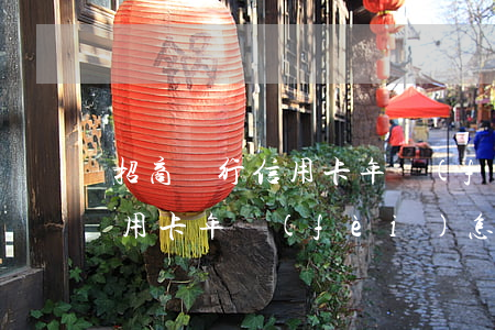 招商銀行信用卡年費(fèi) 招商銀行信用卡年費(fèi)怎么取消