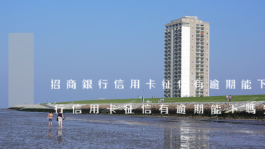 招商銀行信用卡征信有逾期能下嗎-招商銀行信用卡征信有逾期能下嗎安全嗎