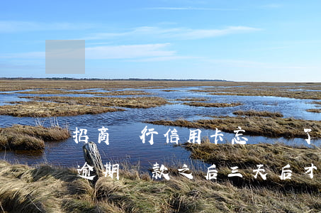 招商銀行信用卡忘記還了逾期3天(招商銀行逾期還款之后三天后才能使用?)