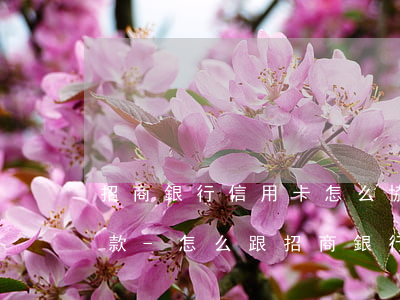 招商銀行信用卡怎么協(xié)商停息還款-怎么跟招商銀行信用卡協(xié)商還款