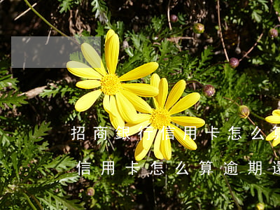 招商銀行信用卡怎么算逾期還款-招商銀行信用卡怎么算逾期還款金額