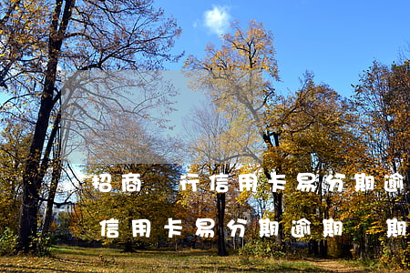 招商銀行信用卡易分期逾期兩期-招商銀行信用卡易分期逾期兩期怎么辦