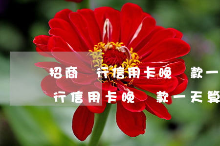 招商銀行信用卡晚還款一天算逾期-招商銀行信用卡晚還款一天算逾期嗎