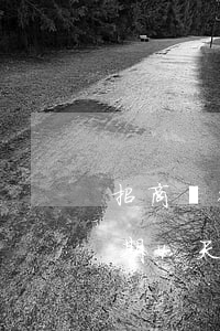 招商銀行信用卡有已逾期記錄(招行信用卡逾期4天)