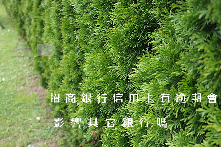 招商銀行信用卡有逾期會影響嗎(招商逾期會影響其它銀行嗎)
