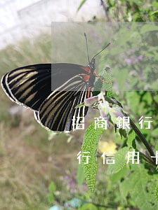 招商銀行信用卡欠12000起訴-招商銀行信用卡欠12000起訴會怎么樣
