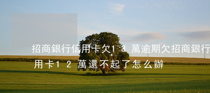 招商銀行信用卡欠13萬逾期(欠招商銀行信用卡12萬還不起了怎么辦)