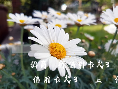 招商銀行信用卡欠3萬上門催收-招商銀行信用卡欠3萬上門催收是真的嗎