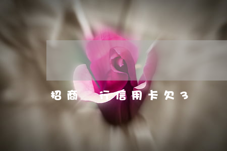 招商銀行信用卡欠3萬無力償還-