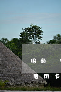 招商銀行信用卡欠7萬三年多了-招商銀行信用卡欠7萬三年多了怎么辦