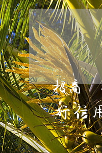 招商銀行信用卡欠三千被起訴后果-招商銀行信用卡欠三千被起訴后果是什么