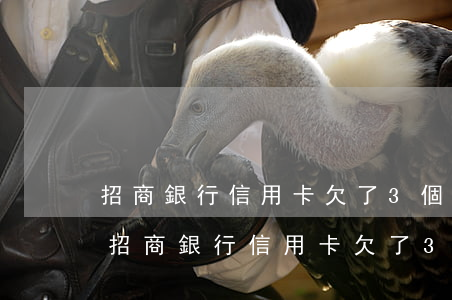 招商銀行信用卡欠了3個(gè)月沒還-招商銀行信用卡欠了3個(gè)月沒還怎么辦