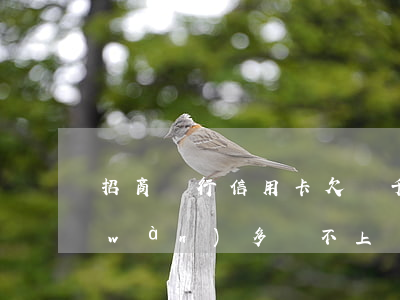 招商銀行信用卡欠兩千 招商銀行欠了2萬(wàn)多,還不上會(huì)怎么樣?