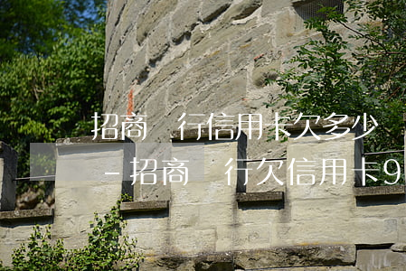 招商銀行信用卡欠多少錢會(huì)立案-招商銀行欠信用卡9000