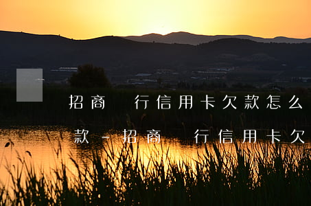 招商銀行信用卡欠款怎么協(xié)商還款-招商銀行信用卡欠款怎么協(xié)商還款的
