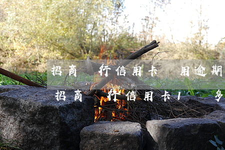 招商銀行信用卡沒用逾期年費(fèi)(欠招商銀行信用卡1萬多逾期半年多)