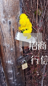 招商銀行信用卡為了避免法律訴訟-招商銀行信用卡為了避免法律訴訟怎么辦