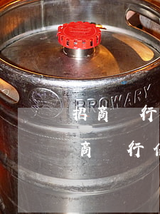 招商銀行信用卡無(wú)力償還怎么辦(招商銀行信用卡透支目前無(wú)力償還怎么辦)