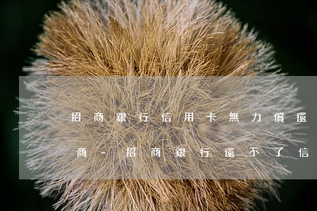 招商銀行信用卡無力償還怎么協(xié)商-招商銀行還不了信用卡怎么辦
