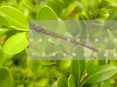 招商銀行信用卡無惡意逾期范文圖片（招商銀行信用卡無惡意逾期范文）