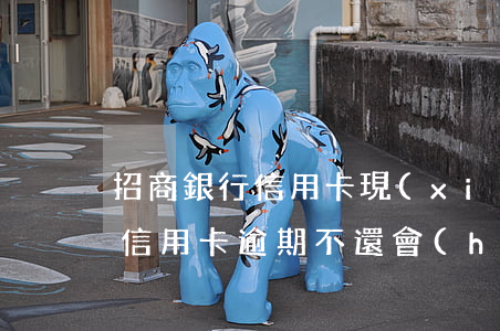 招商銀行信用卡現(xiàn)在逾期(招行信用卡逾期不還會(huì)怎樣)