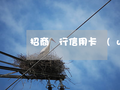 招商銀行信用卡網(wǎng)上申請流程