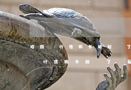 招商銀行信用卡被起訴了怎么處理-被招商銀行信用卡起訴了還是沒錢還怎么辦