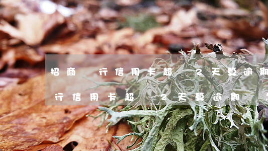 招商銀行信用卡超過2天算逾期嗎-招商銀行信用卡超過2天算逾期嗎怎么辦
