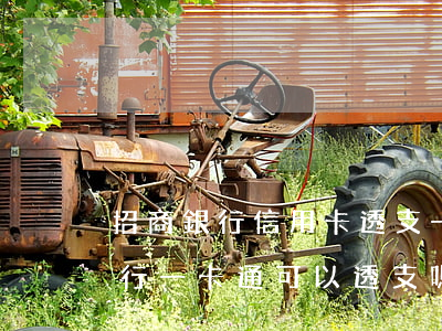 招商銀行信用卡透支一萬(wàn)(招商銀行一卡通可以透支嗎)