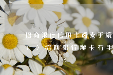 招商銀行信用卡透支手續(xù)費(fèi)(招商銀行辦卡有手續(xù)費(fèi)嗎)