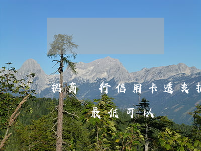 招商銀行信用卡透支(招商銀行信用卡透支8萬還最低可以嗎)