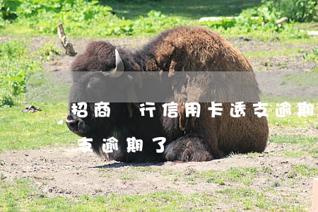 招商銀行信用卡透支逾期(招商銀行信用卡透支逾期了)