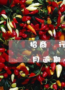 招商銀行信用卡連續(xù)兩個(gè)月逾期-招商銀行信用卡連續(xù)兩個(gè)月逾期會(huì)怎么樣