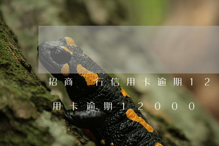 招商銀行信用卡逾期12000（招商銀行信用卡逾期12000）