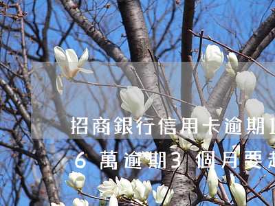 招商銀行信用卡逾期18次(招商銀行信用卡6萬逾期3個月要起訴我怎么辦)