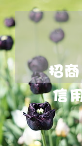 招商銀行信用卡逾期1天上征信么-招商行信用卡逾期一天有什么影響
