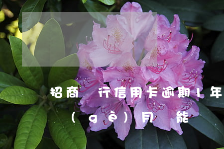 招商銀行信用卡逾期1年了(招商銀行逾期一個(gè)月還能繼續(xù)使用信用卡么)