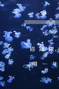 招商銀行信用卡逾期1年處理方法-招商逾期一年怎么辦