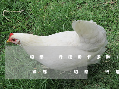 招商銀行信用卡逾期1萬多久會(huì)被起訴-招商銀行信用卡逾期1萬多久會(huì)被起訴呢
