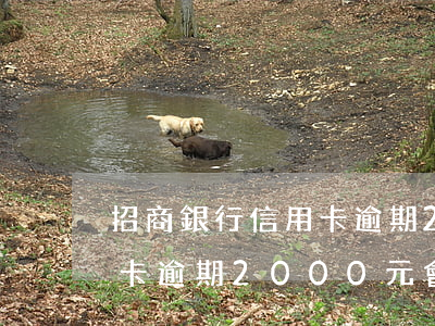 招商銀行信用卡逾期2000(招商銀行信用卡逾期2000元會(huì)被認(rèn)定為詐騙嗎?)