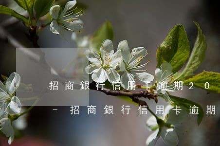 招商銀行信用卡逾期20天上征信記錄了吧-招商銀行信用卡逾期20天上征信記錄了吧怎么辦