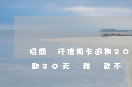 招商銀行信用卡逾期20 招商銀行信用卡逾期20天讓我還款不還怎么樣