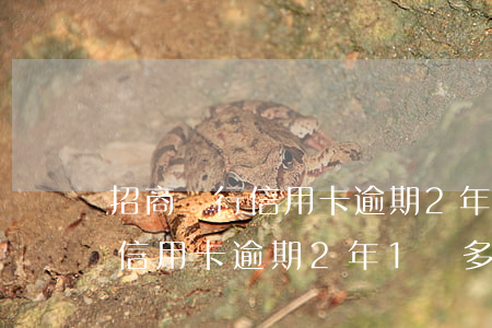 招商銀行信用卡逾期2年1萬多-招商銀行信用卡逾期2年1萬多怎么辦
