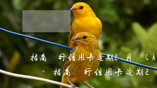 招商銀行信用卡逾期2月會(huì)怎么樣-招商銀行信用卡逾期2月會(huì)怎么樣嗎