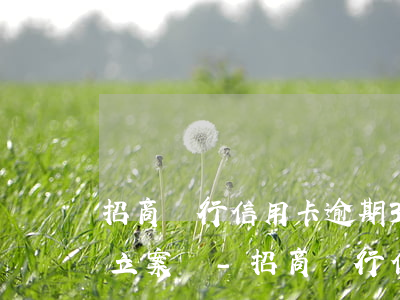 招商銀行信用卡逾期3000會(huì)立案嗎-招商銀行信用卡3000逾期一年現(xiàn)在還多少
