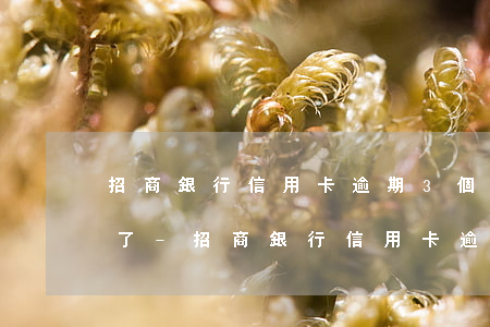 招商銀行信用卡逾期3個月凍結(jié)了-招商銀行信用卡逾期3個月凍結(jié)了怎么辦